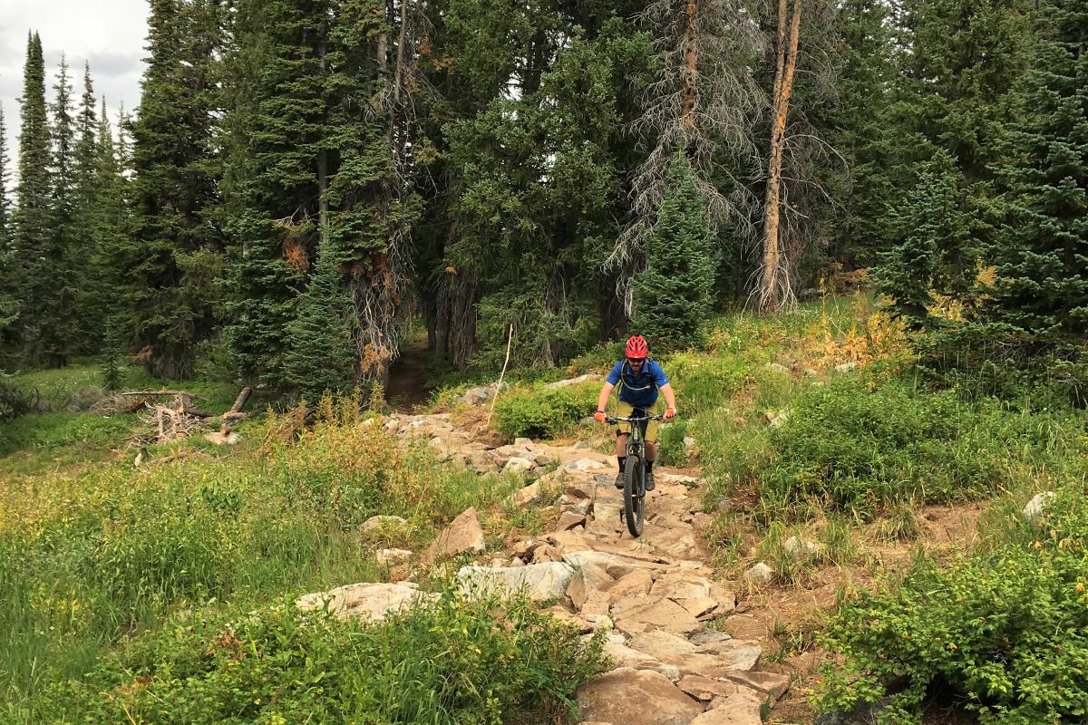 GEM mountain bike trail on Buffalo Pass