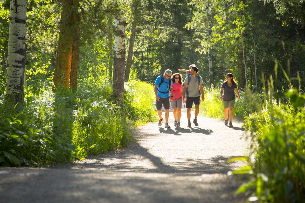 Kids Friendly Hiking Trails Steamboat Springs Colorado