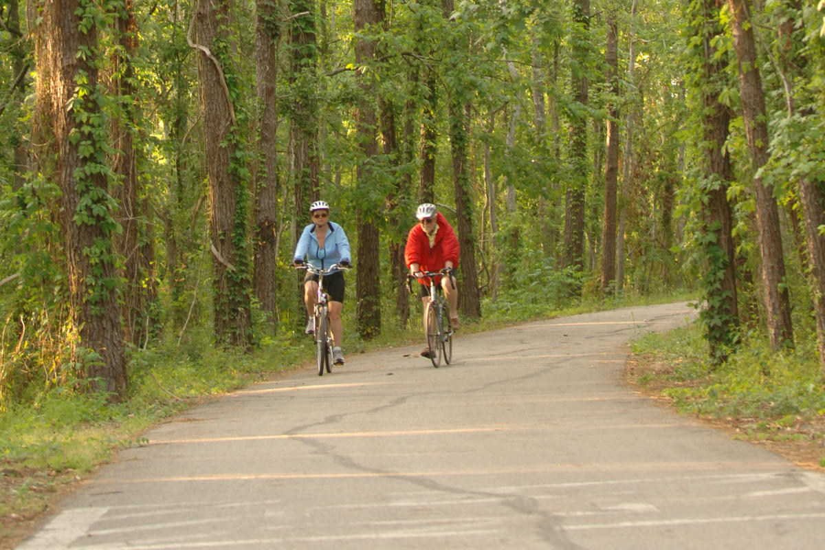 The 31-mile Tammany Trace hike and bike trail winds through Northshore towns and green spaces Cropped