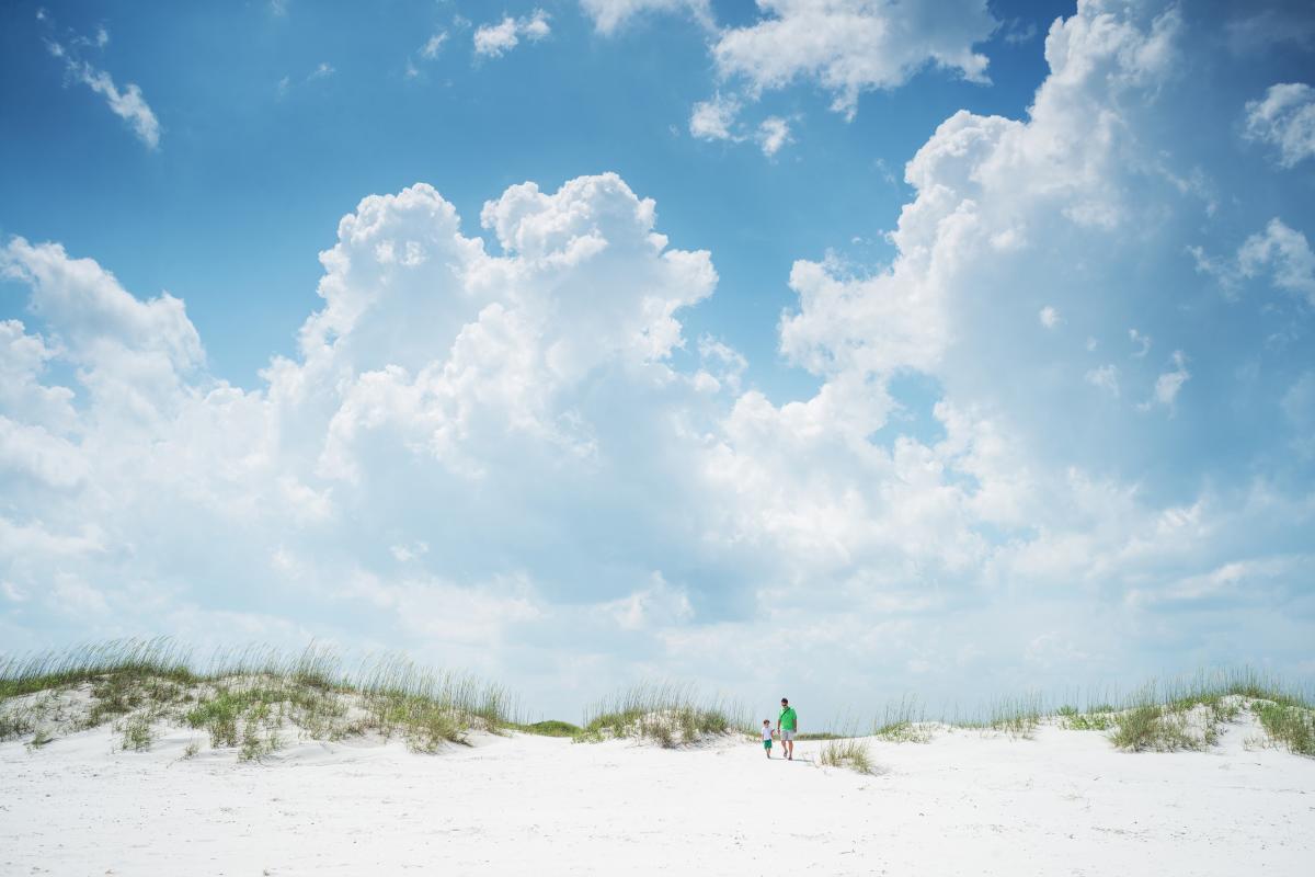 Masonboro Island