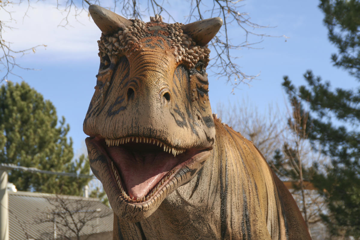 Dinosaurs In Denver VISIT DENVER
