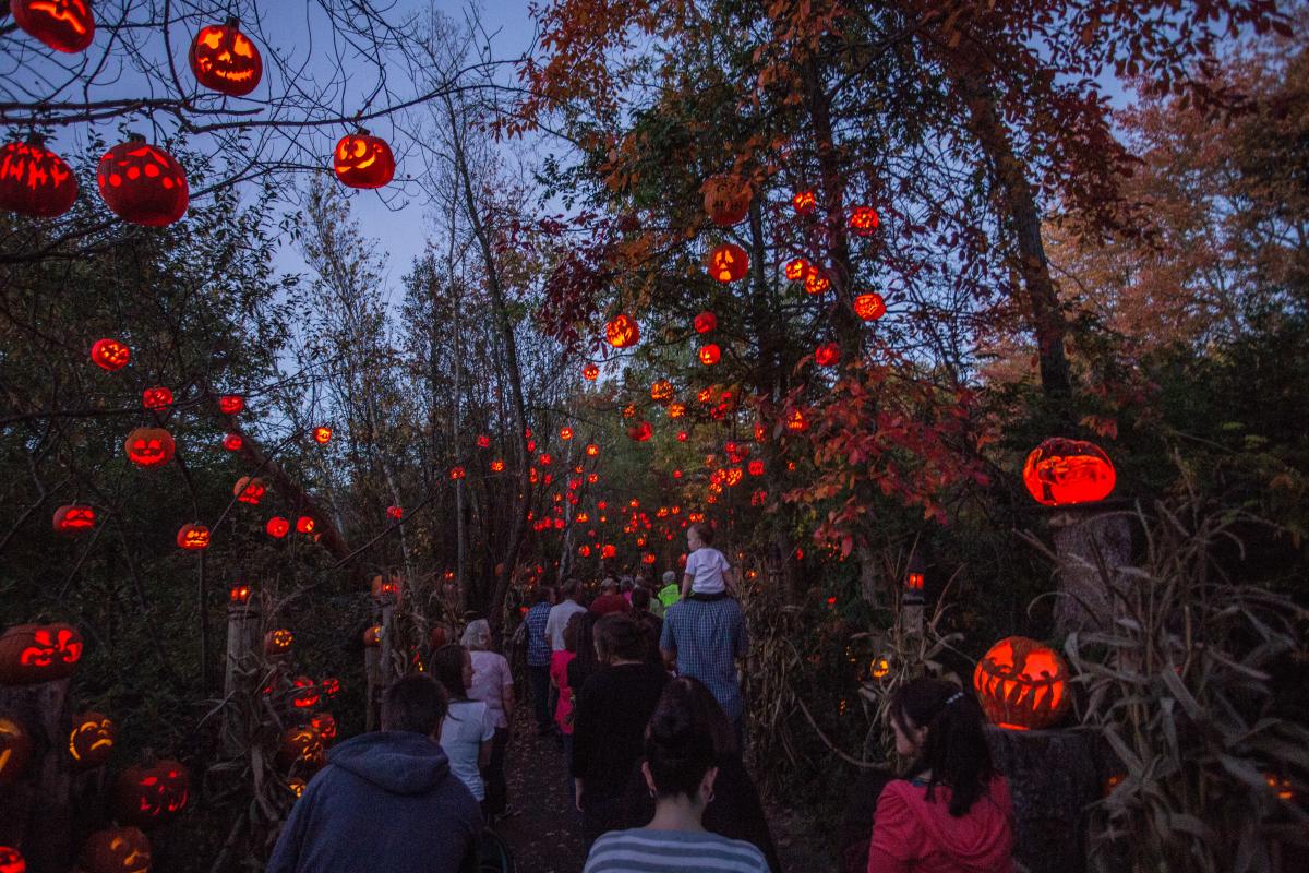 JackOLantern Spectacular Event at the Roger Williams Park Zoo