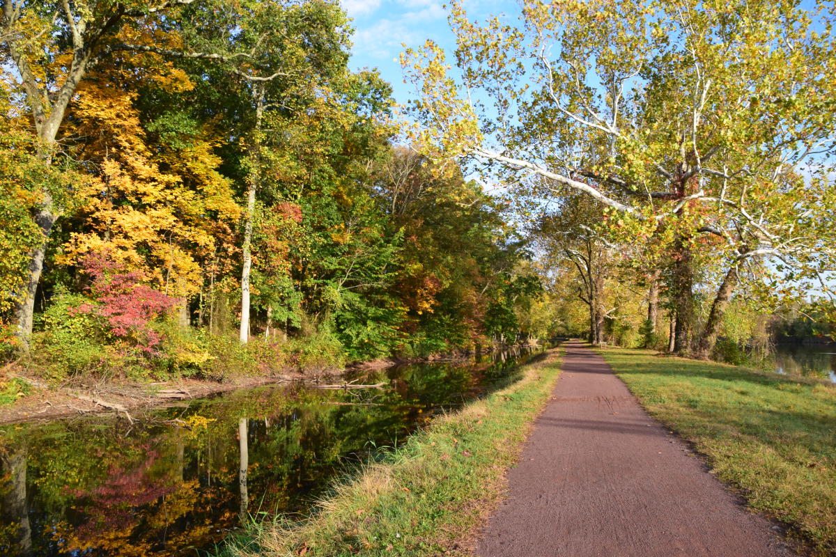 Delaware Canal Towpath in the Fall
