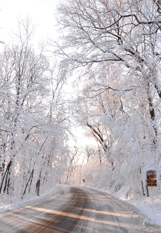 Snake Road Winter