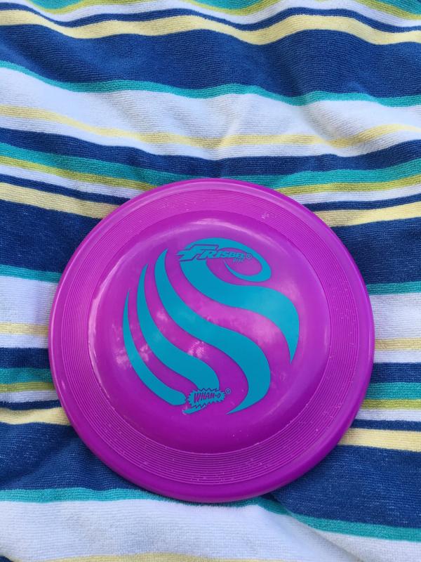 Frisbee on beach towel for day trip to Big Falls