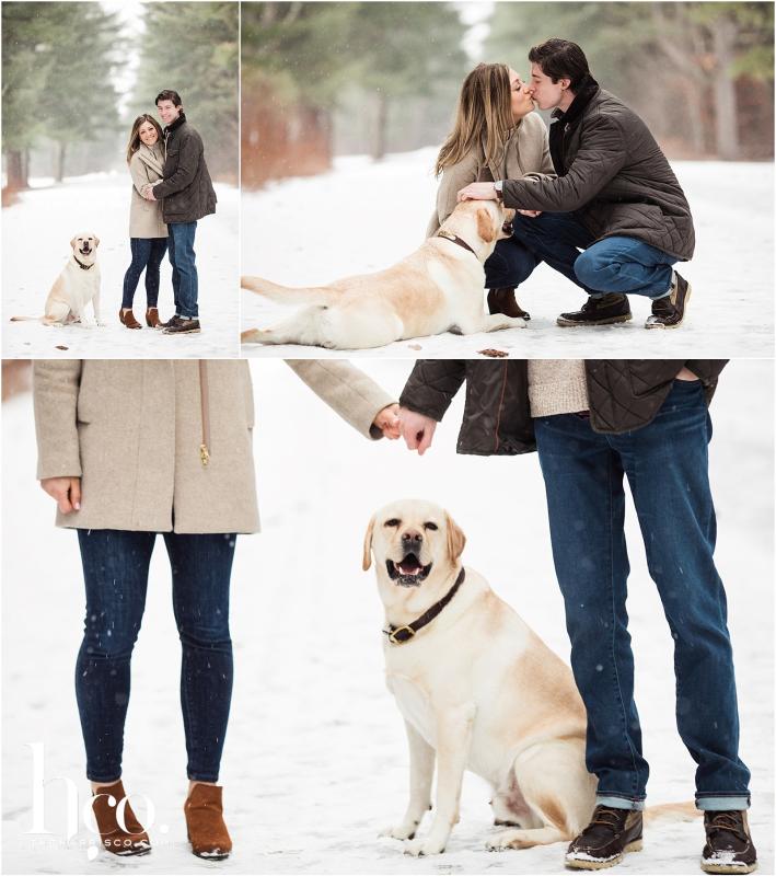 Collage of winter engagement photo shoot on Avenue of the Pines with dog