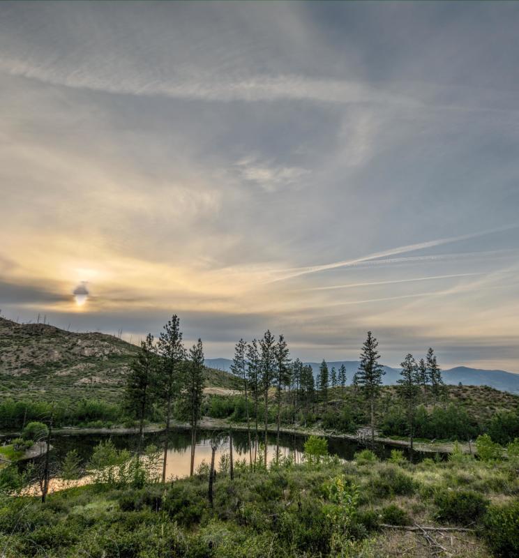 Jack Smith Lake | Eoin Carey