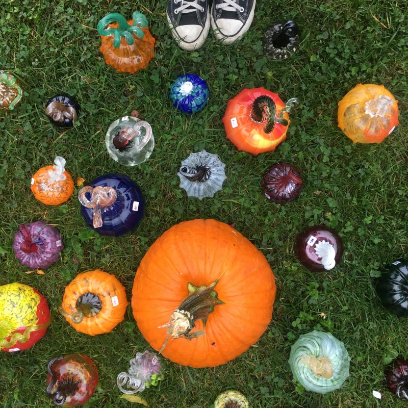 Top 2020 Fall Events & Festivals in Bloomington, Indiana