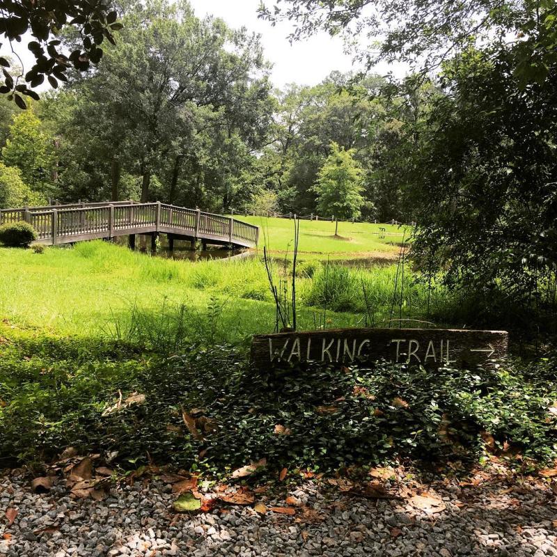 Lockerly Arboretum UGC