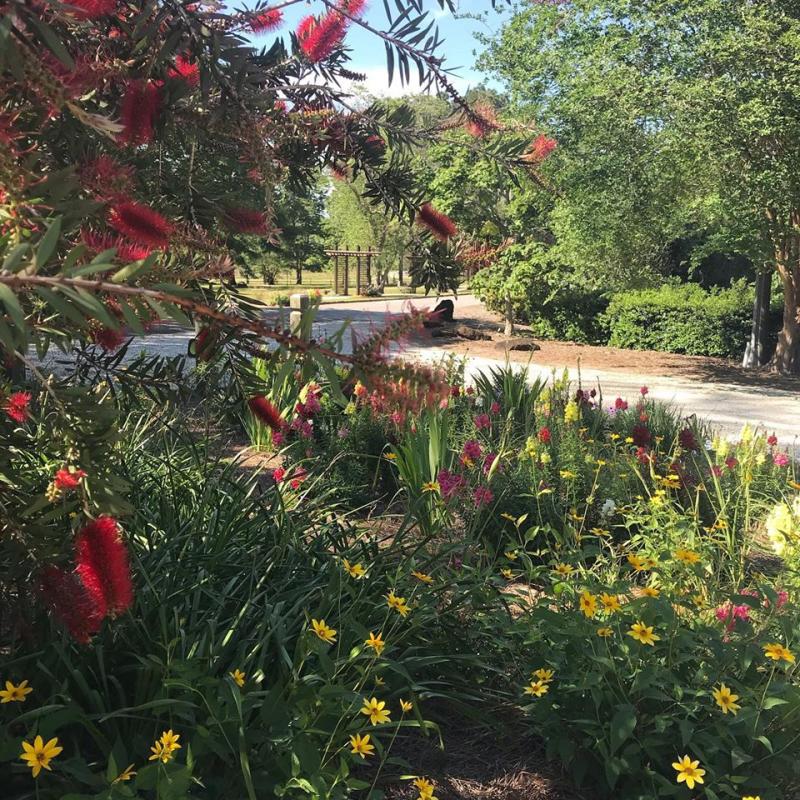 Path At The Mobile Botanical Gardens In Mobile, AL