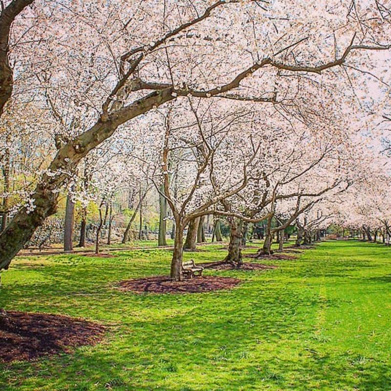 Brandywine Park - IG Blog
