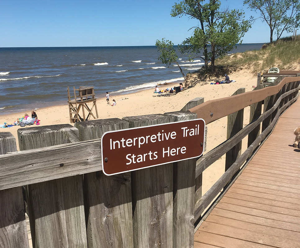 Haley Collins - Succession Trail sign