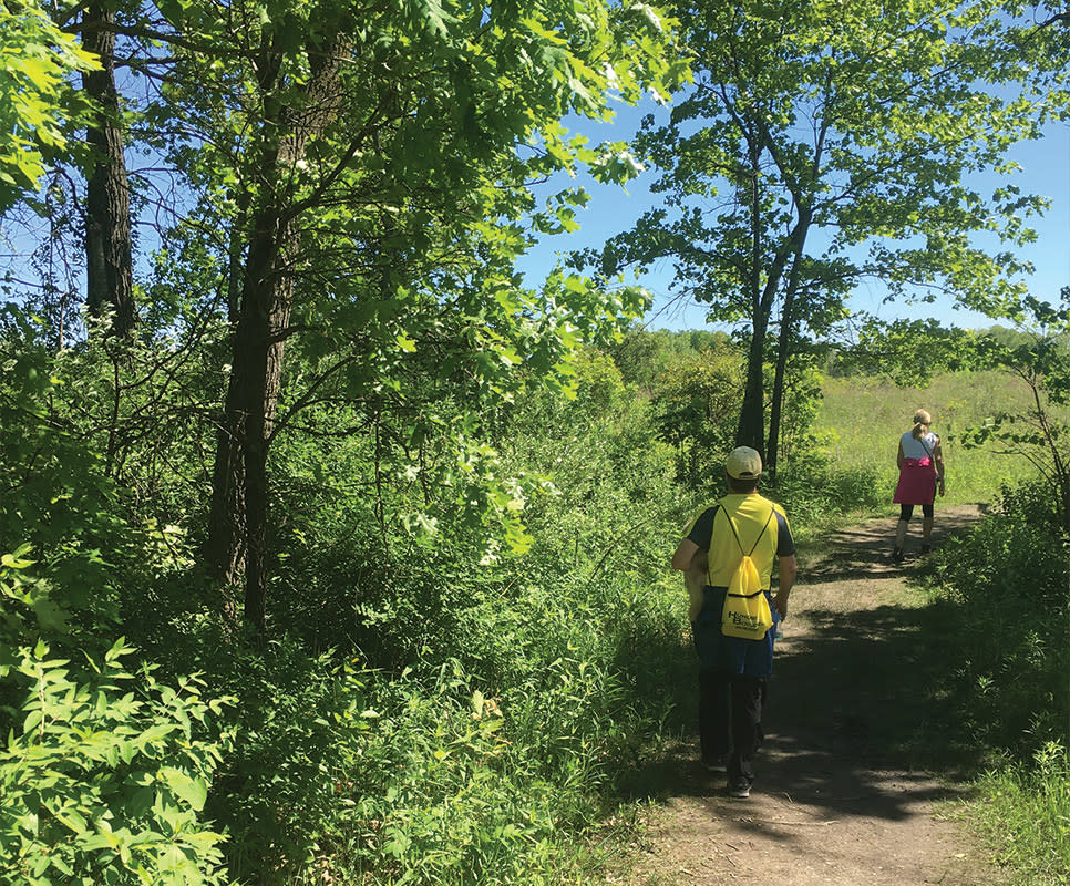 Haley Collins Succession Trail dirt path