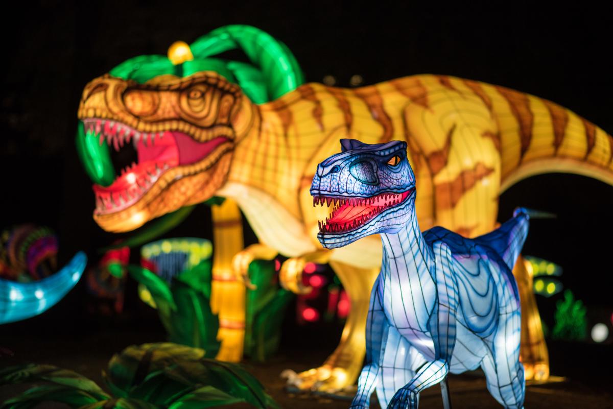 Things to Do in Raleigh, N.C.: December 2017