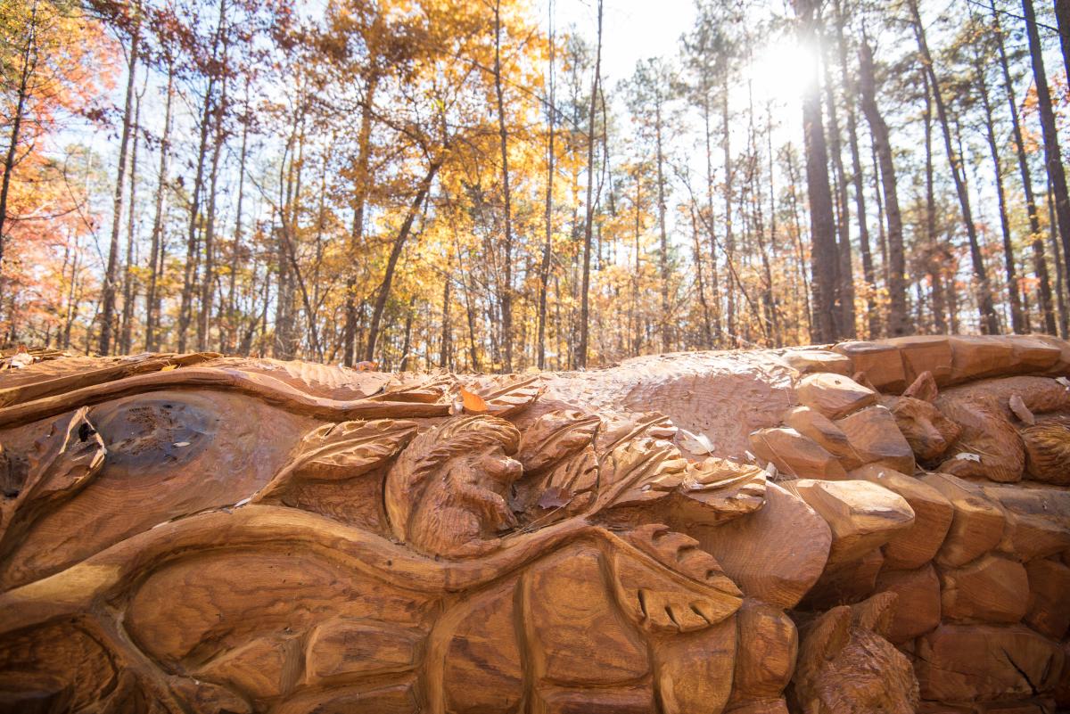 Umstead Chainsaw Art