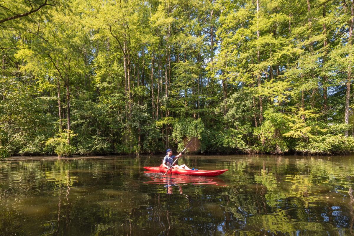 Robertson Millpond Preserve