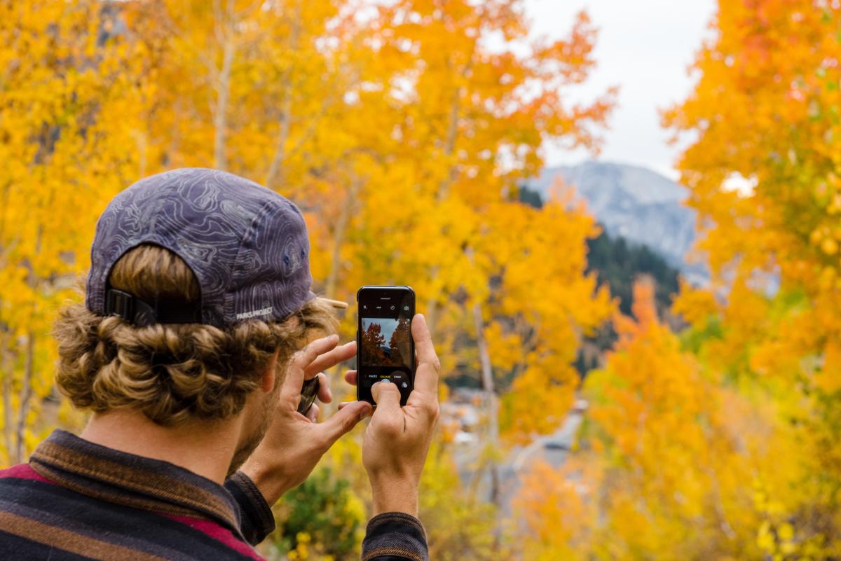 Salt Lake's Fall Foliage Preview