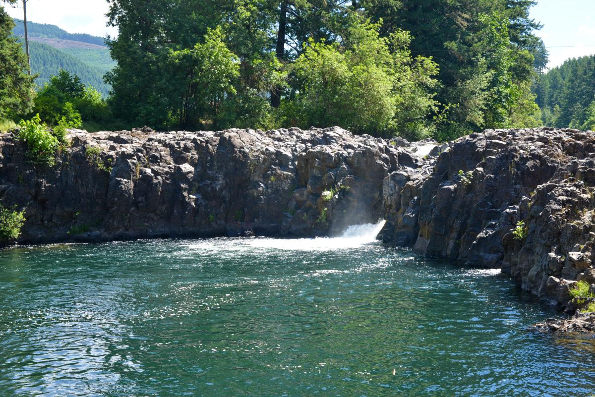Wildwood Falls by Melanie Griffin Wildwood Falls by Melanie Griffin