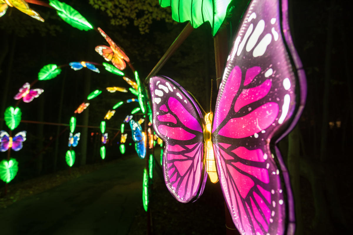 Event Guide North Carolina Chinese Lantern Festival In Cary N C