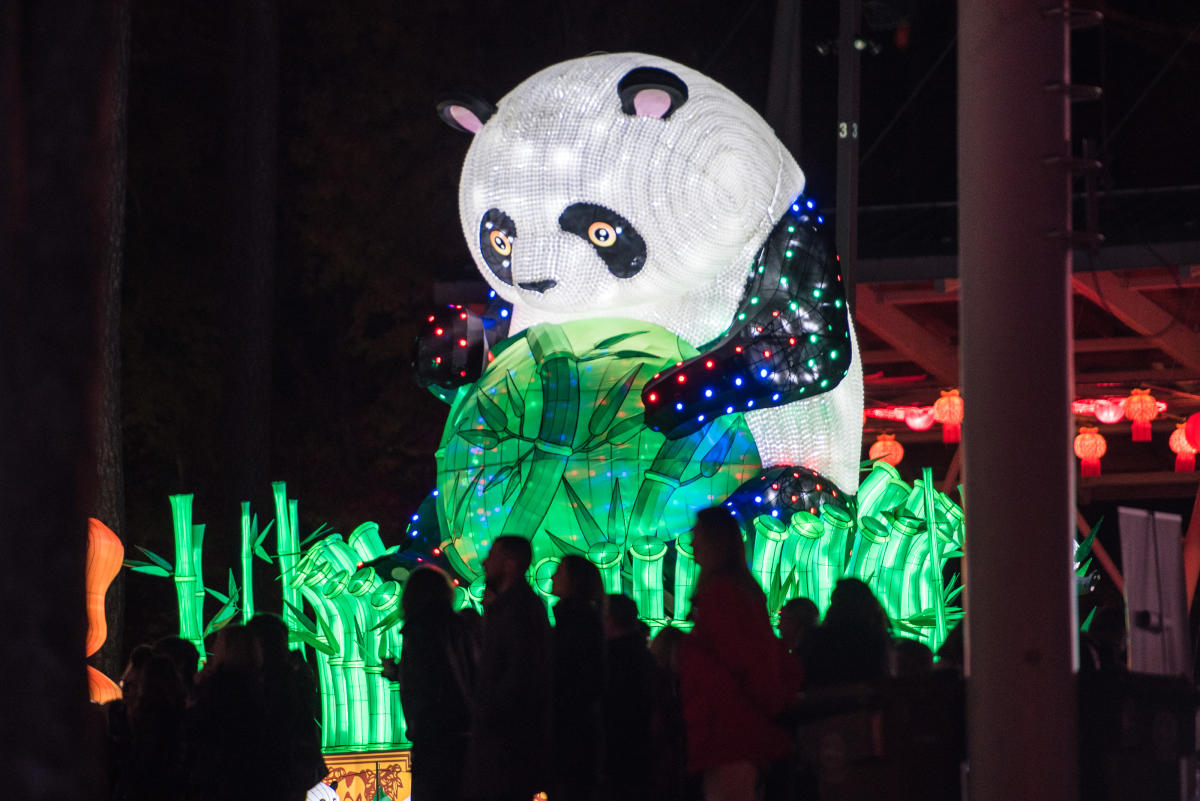 chinese lanterns raleigh nc