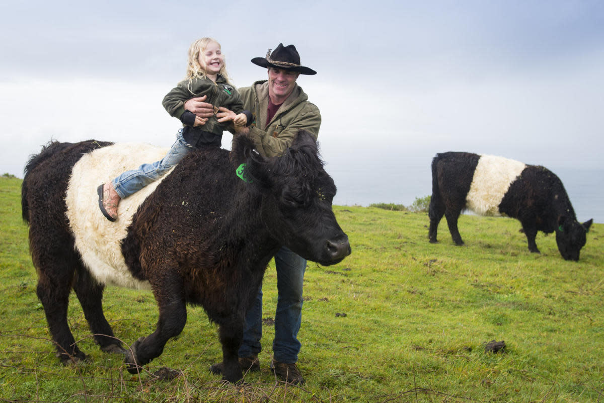 Parent holding child on top of cattle at Markegard Family Farms