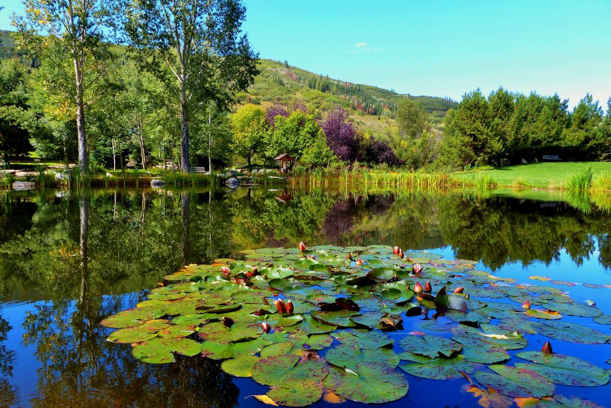 Discover the 50 gardens at the Yampa River Botanic Park