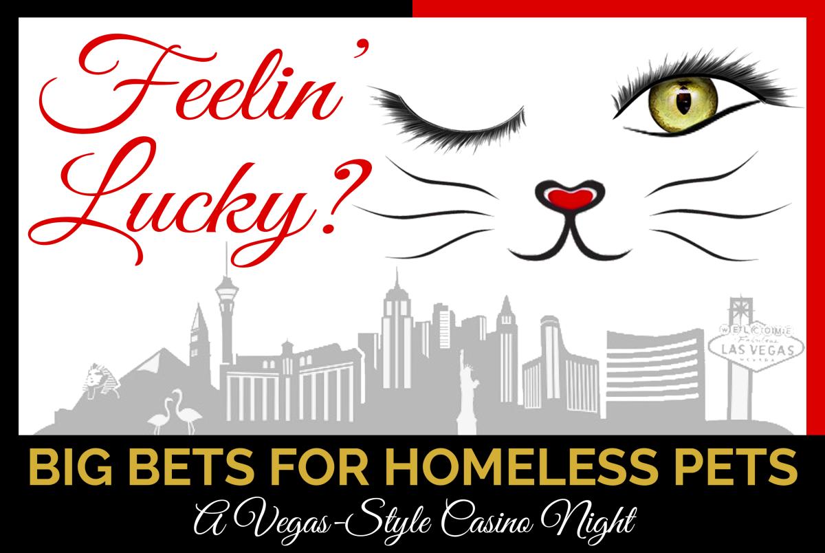 Big Bets for Homeless Pets