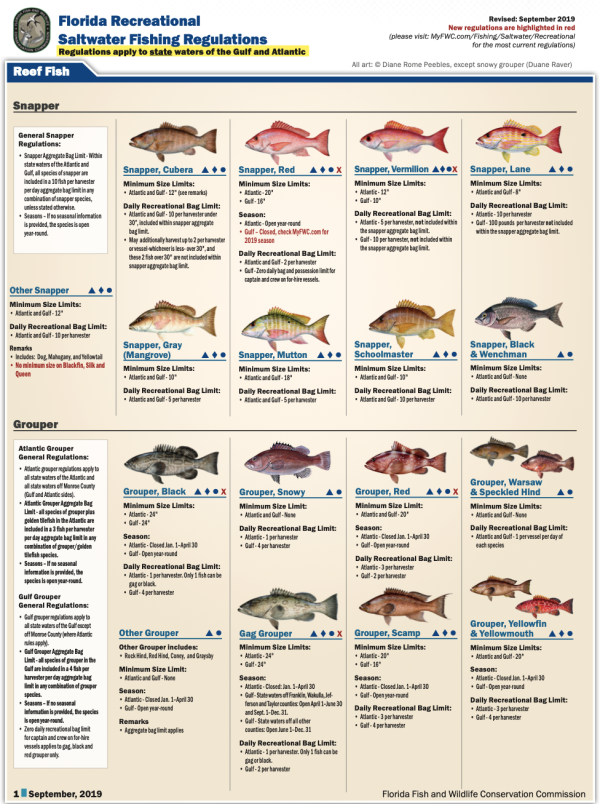 Panama City Beach Fishing Resources