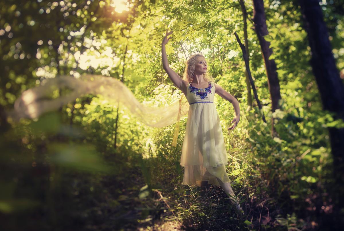 A Midsummer Night's Dream Fort Wayne Ballet
