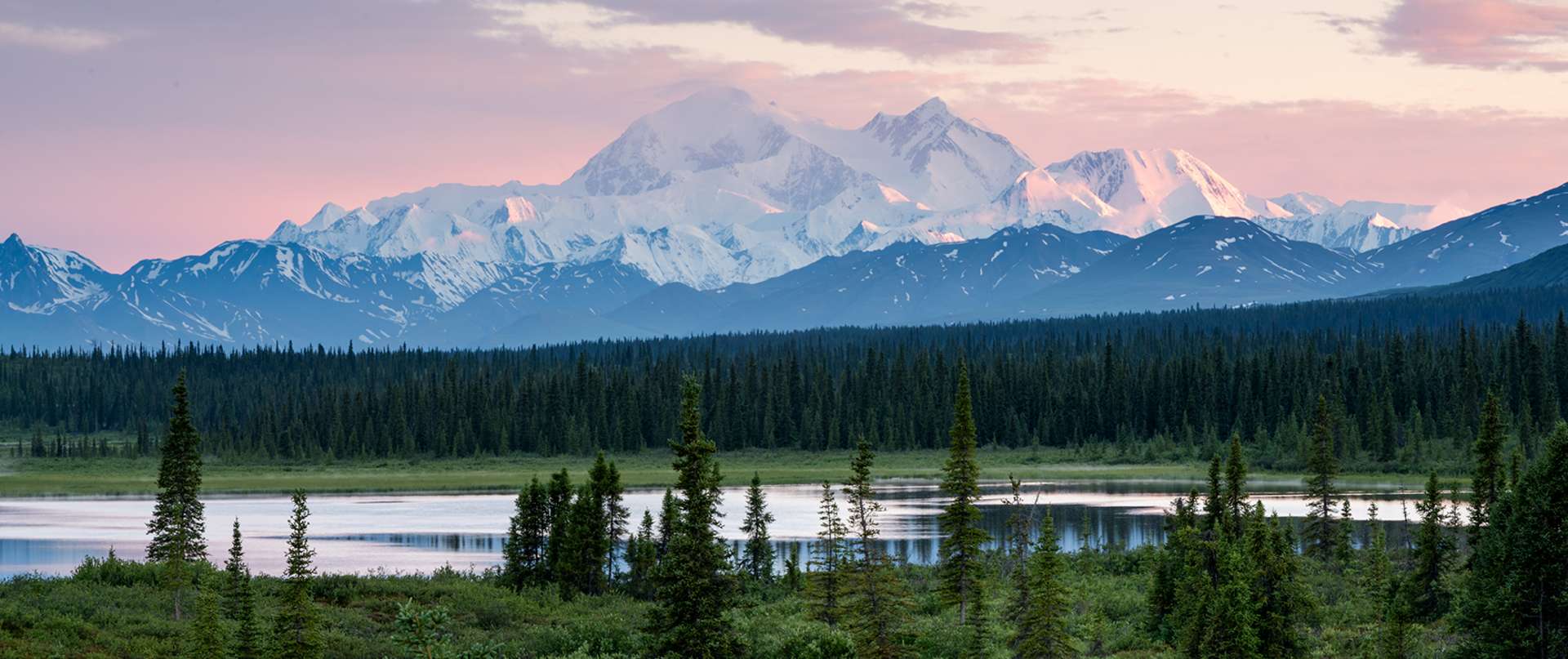 Denali Photo Guides