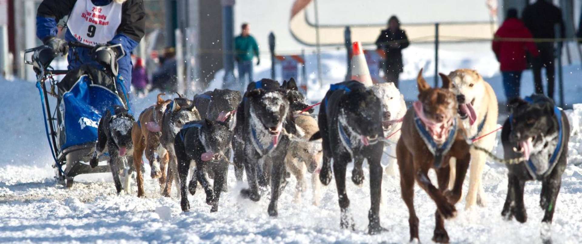 Rondy Aka Anchorage Fur Rendezvous