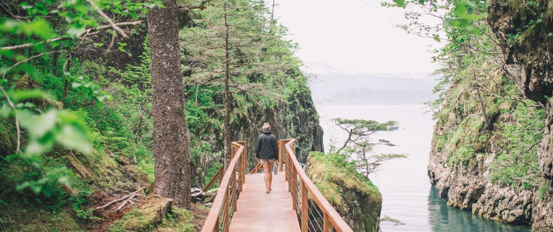 Shearwater Cove