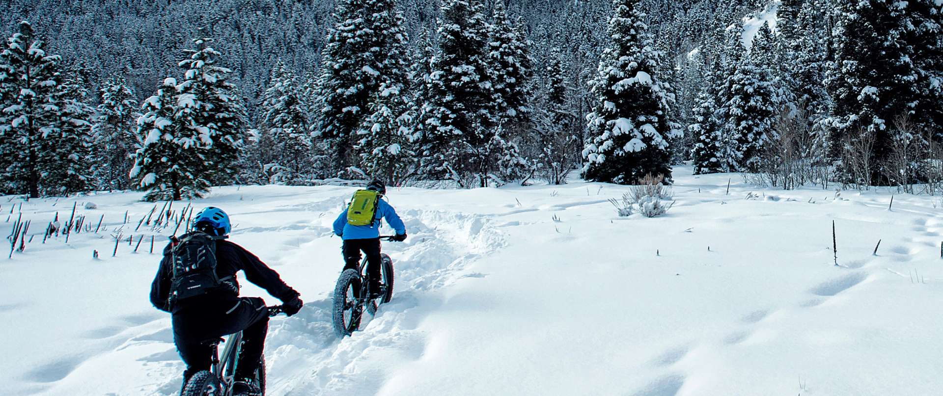 Trek Bicycle Store Of Anchorage