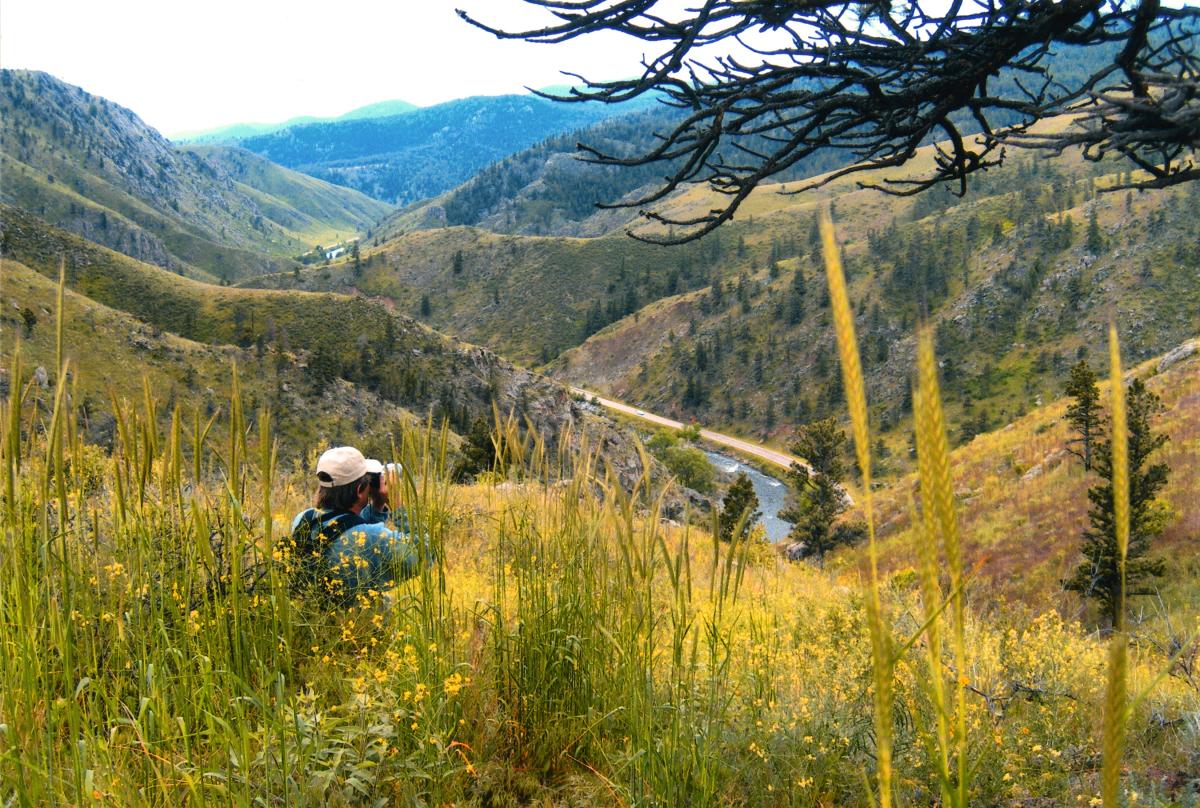 Explore Lory State Park, Fort Collins