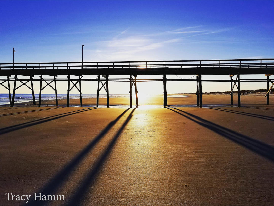 Tracy Hamm_2020 Photo Contest Second Place Winner