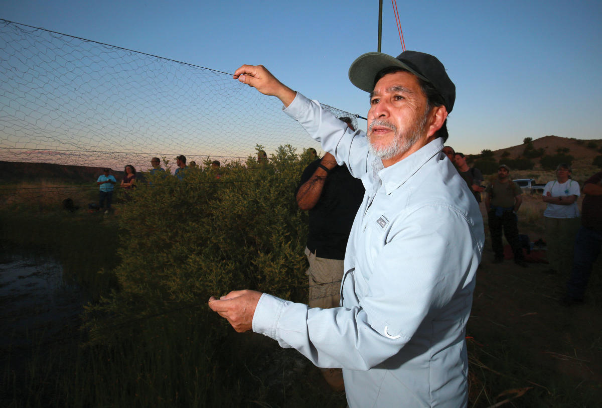 Lawrence Abeita steadies a bat net at a pond on Santa Ana Pueblo.