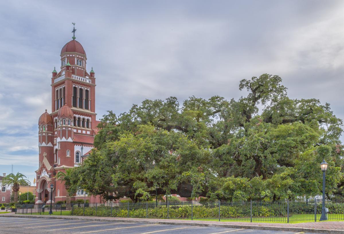 St. John Cathedral Oak