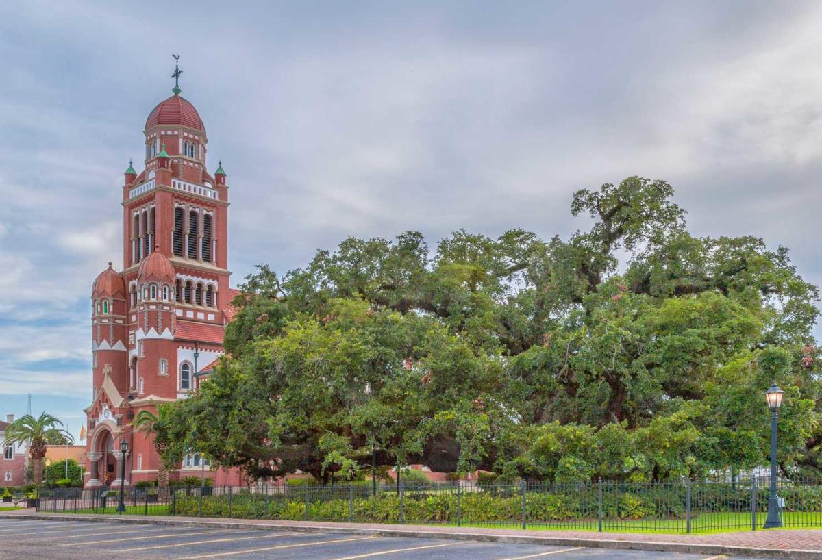 St. John Cathedral Oak