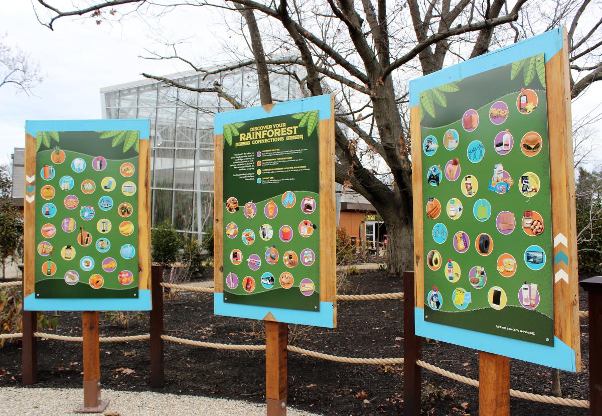 RWPZOO Rainforest Opening