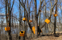 Art In The Wild 2023 Outdoor Exhibition