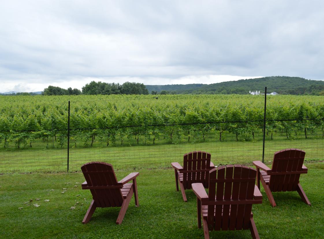 WINERY AT LA GRANGE