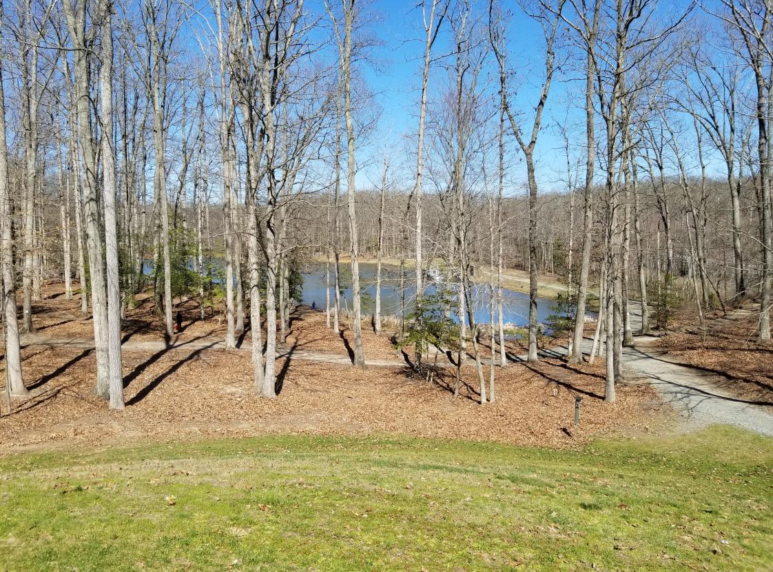 LOCUST SHADE PARK