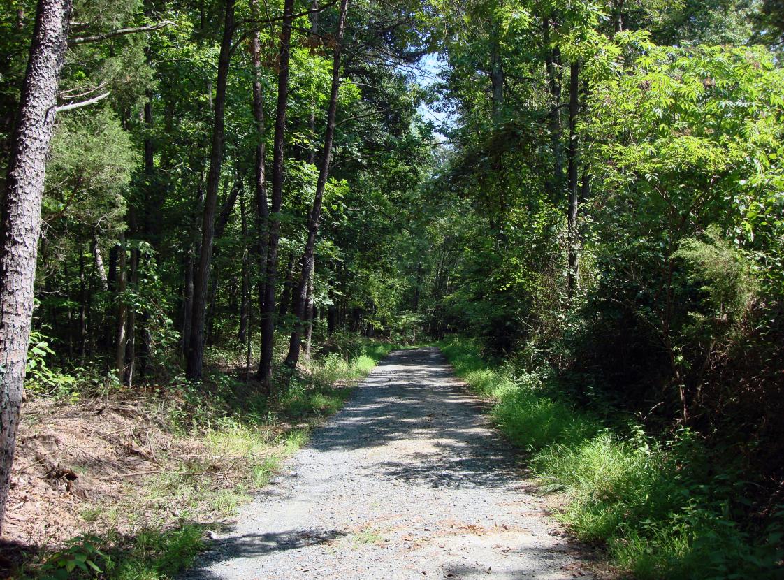 PRINCE WILLIAM FOREST PARK trail