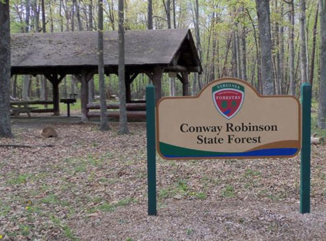 CONWAY-ROBINSON STATE FOREST