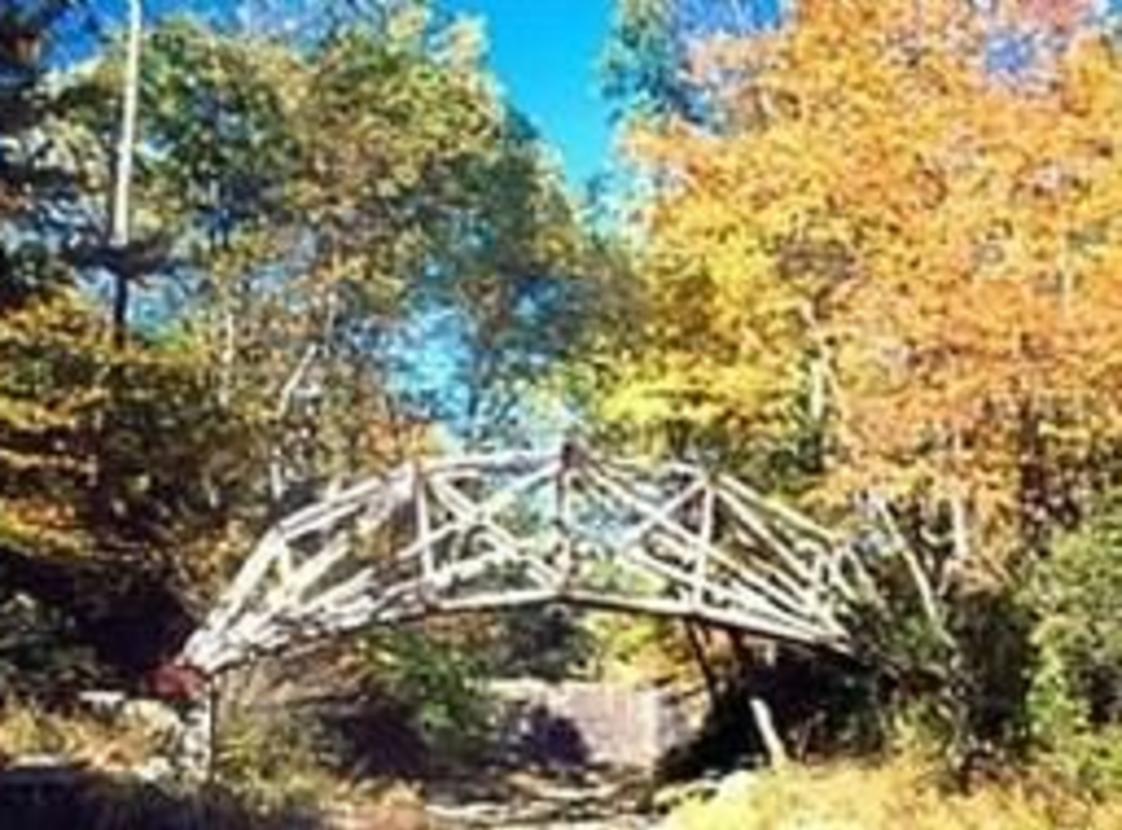 oakridge