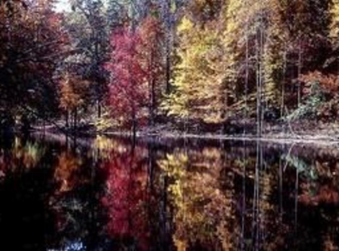 Turkey Run Ridge Group Campground