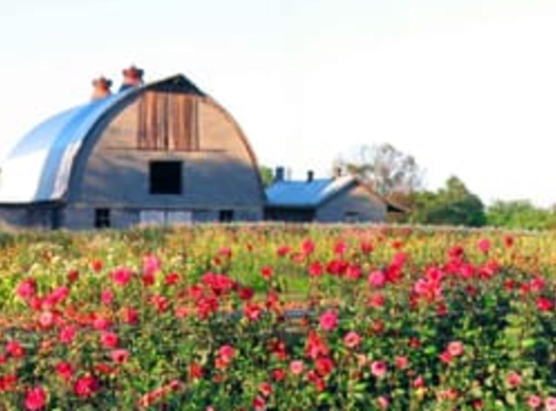 LYNNVALE STUDIOS