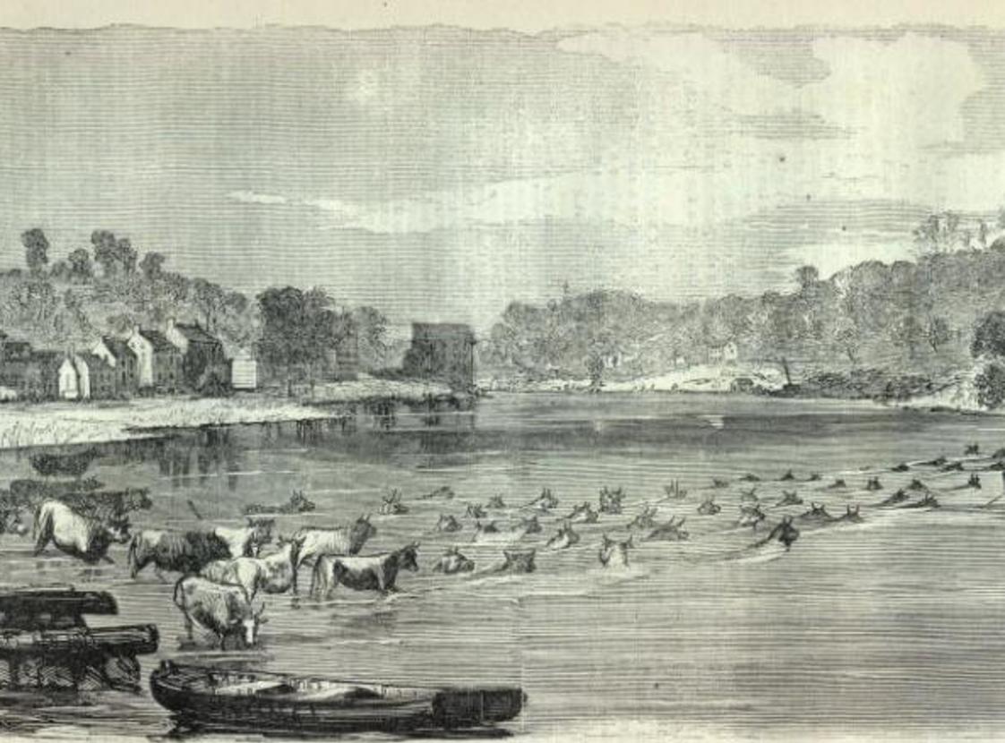 OCCOQUAN