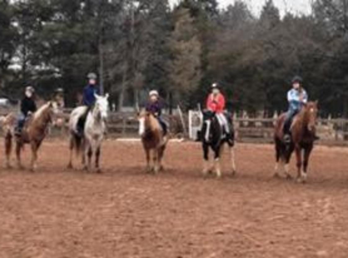 SILVER EAGLE STABLE