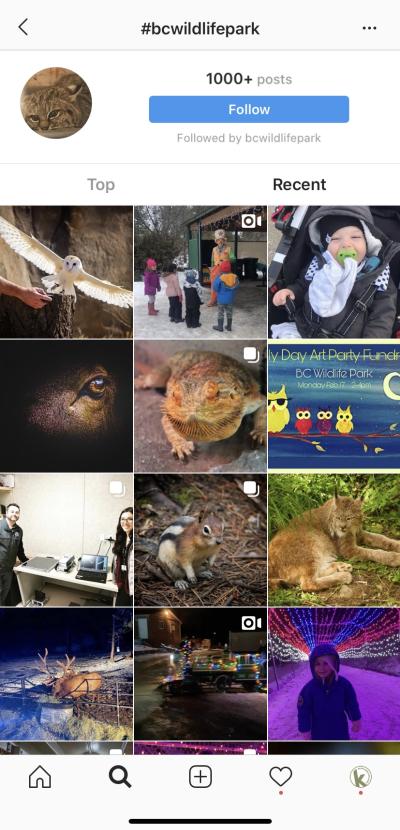 Hashtag Image Industry Blog